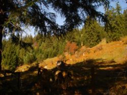 2013-10-20_Wank (050)b.JPG